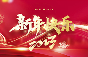 麗水市威儀自動化技術(shù)有限公司祝全國人民2022年新年快樂！