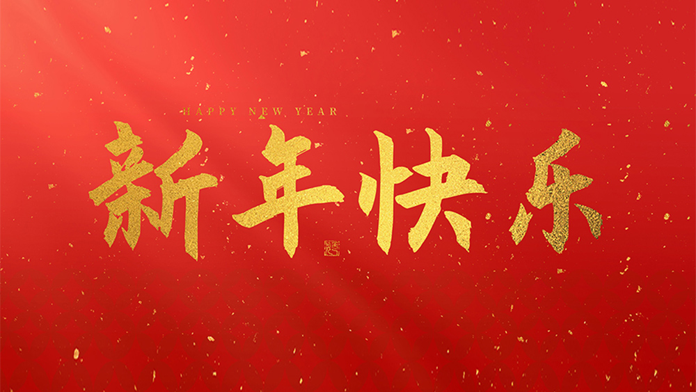 麗水市威儀自動(dòng)化技術(shù)有限公司祝全國(guó)人民2025新年快樂(lè)！